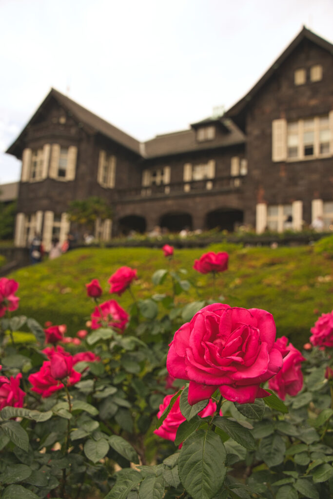 旧古川庭園の洋館とピンク色のバラ