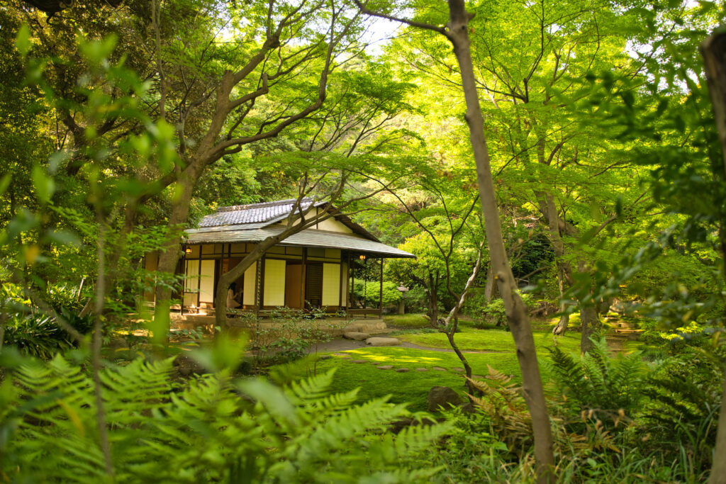 旧古川庭園にある日本庭園内の茶室