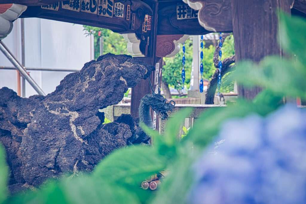 文京区にある白山神社の龍の手水舎