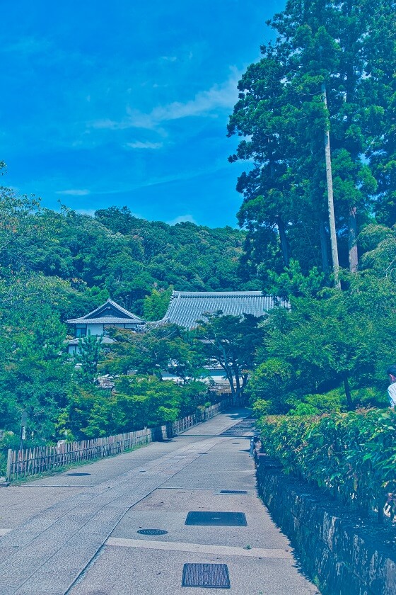 円覚寺の夏の風景