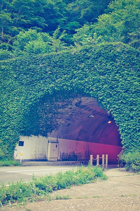 新潟県十日町市にある清津公園トンネル